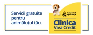 Servicii gratuite pentru animăluțul tău! Viva Credit x Adăpostul Speranța