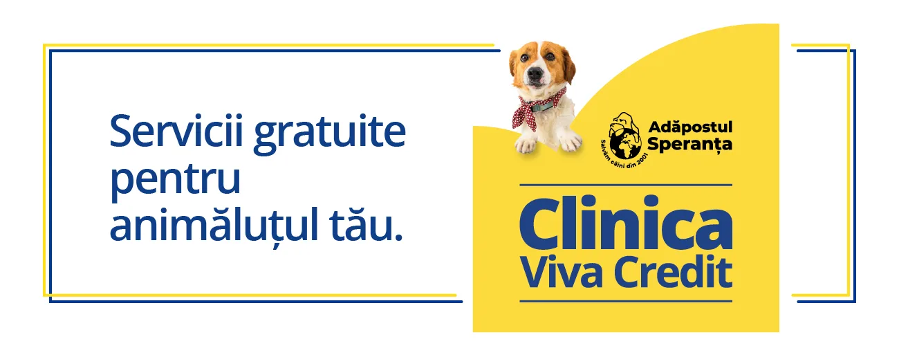 Servicii gratuite pentru animăluțul tău! Viva Credit x Adăpostul Speranța