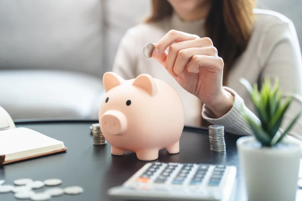 economii de bani gestionarea bugetului